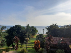 Serene Lake Kivu View with Lush Greenery