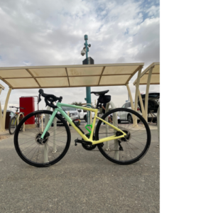 Pastel gradient road bike parked under a canopy.