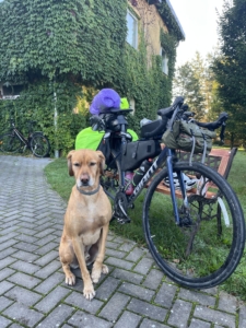 Dog sitting in front of a loaded touring bicycle