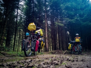 Touring bicycles on a forest path