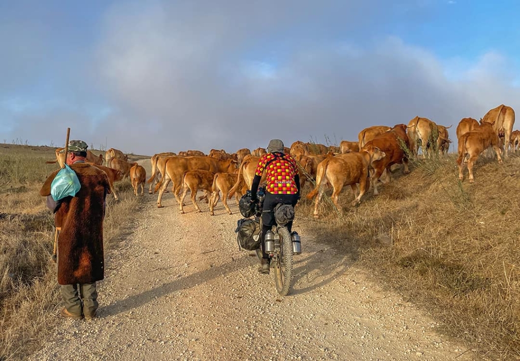 Cyclist riding with a farmer